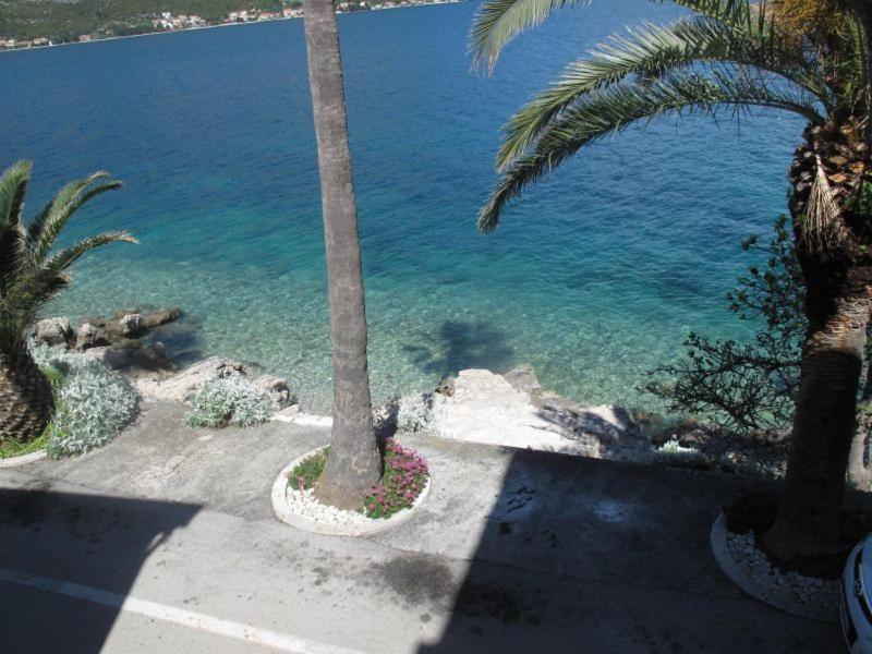 Apartments Jasmina Korčula Pokój zdjęcie